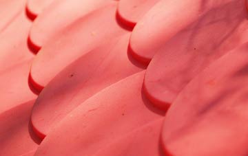 Hysbackie plastic roof costs